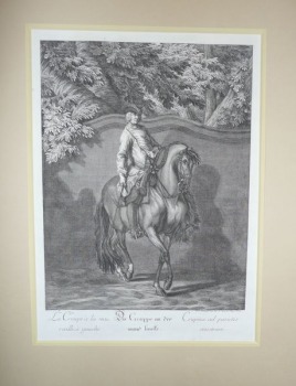 Scena z koniem, Ridinger, XVIII w.(4)